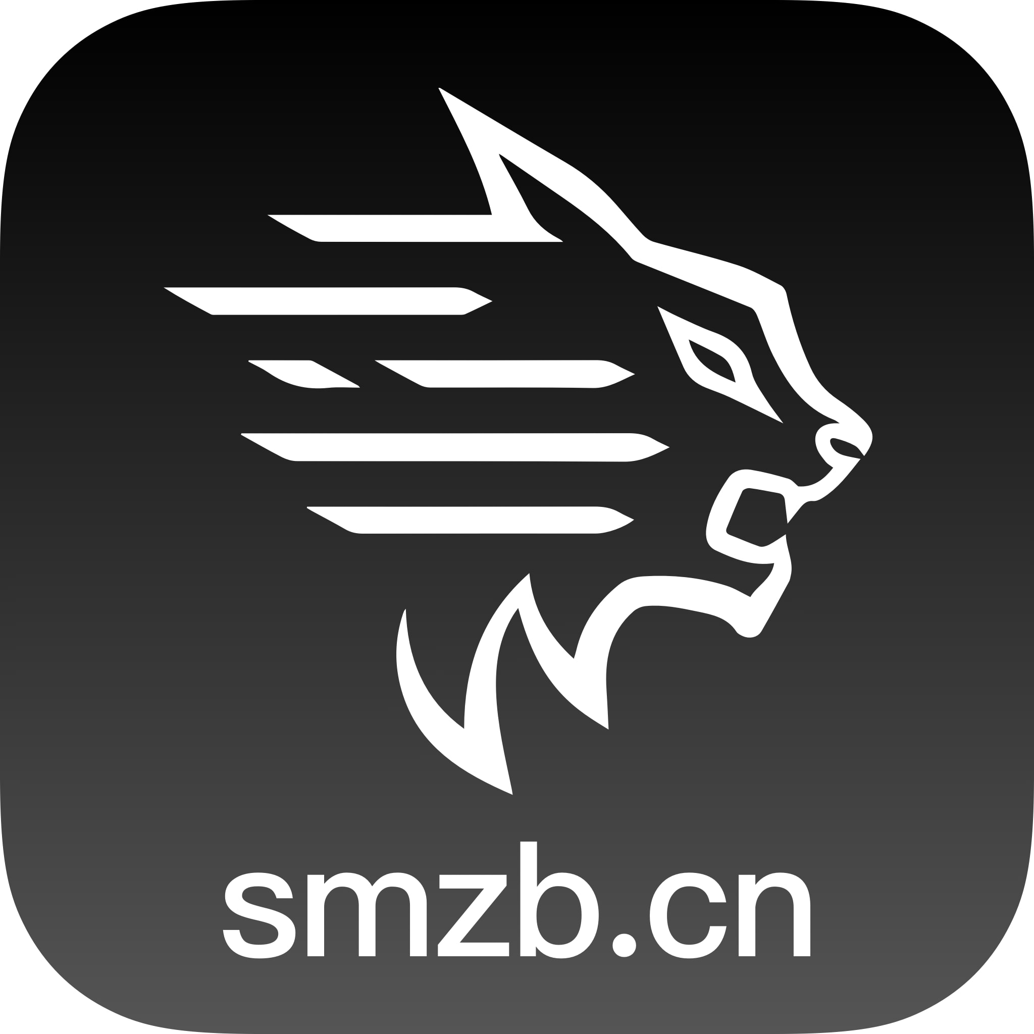 体育直播App下载，助你畅享多样化体育盛宴