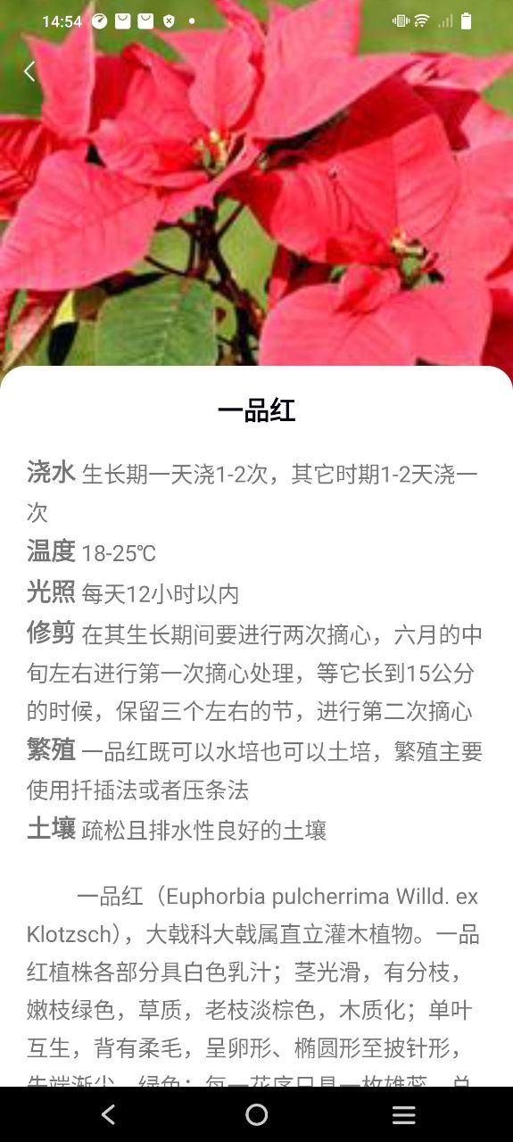 花多多