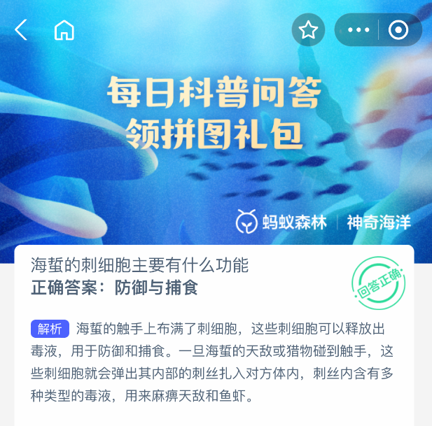 海蜇图片