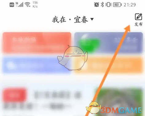 发布选项
