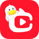 下载点淘app移动版
