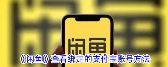 如何查看闲鱼绑定的支付宝账号？