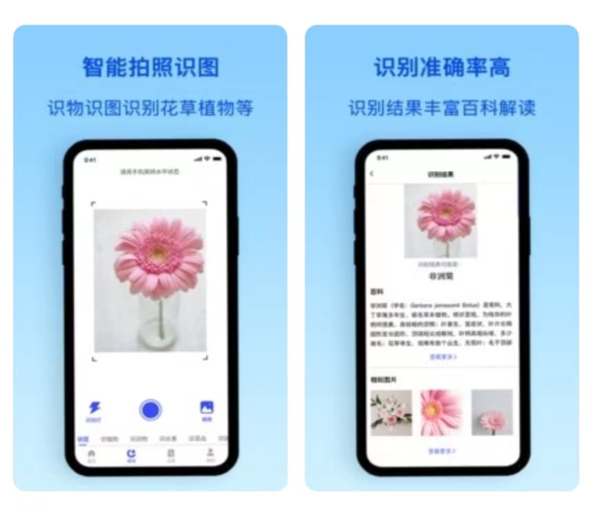 2022最准确的植物识别软件有哪些 ;最新植物识别推荐