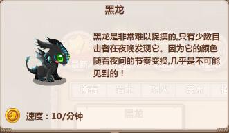 龙之牧场龙宝解密： 黑龙