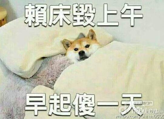 这个冬天不再冷，《超神大陆》火热季