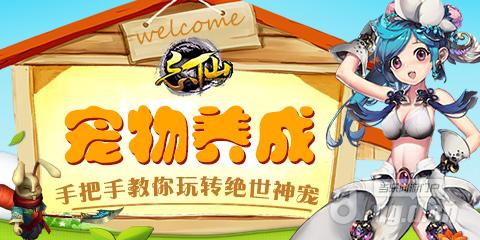 《忘仙》万年不遇宝宝长耳定光仙的养成重点