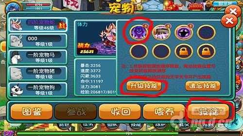 《十二生肖》宠物技能学习和升级