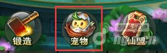 神武传之宠物灵修