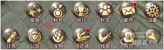 魔法圣剑宠物系统