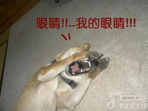 《神域之光》装备辣么烂，装起来给谁看