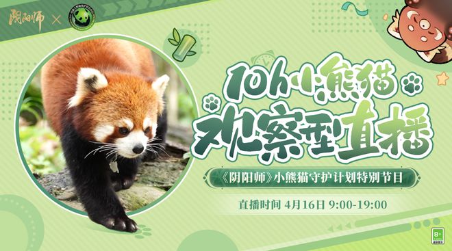 “治愈系主播”即将开播！10h小熊猫观察型直播别错过~