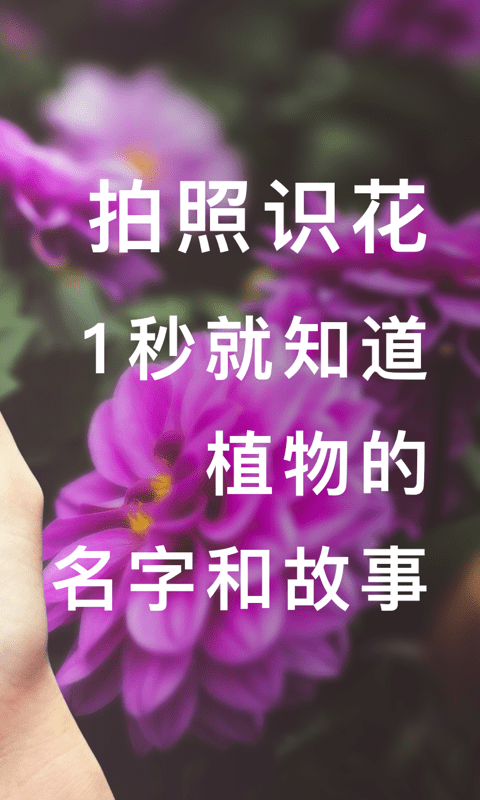 形色2023