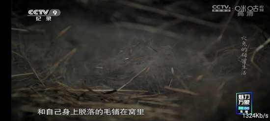 起帆TV盒子2023 起帆TV盒子2023
