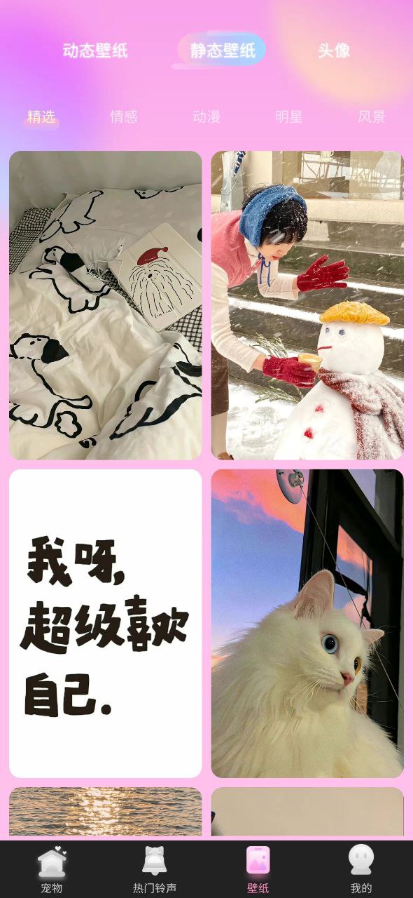 哈屏宠物网页链接
