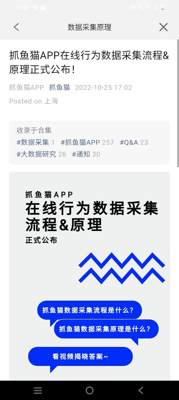抓鱼猫正版免费app下载