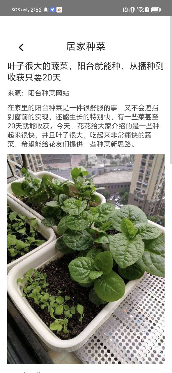 社区菜园子网站