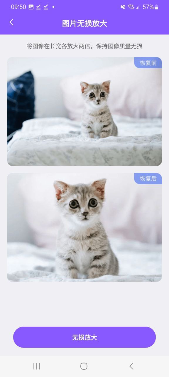 图片恢复助手 安卓版
