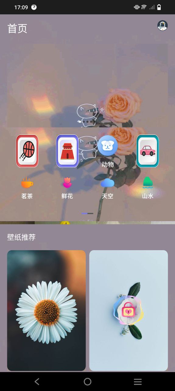 元气小熊壁纸