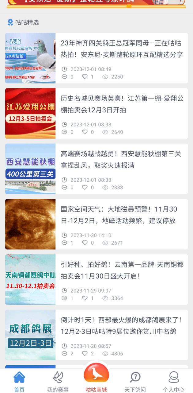 咕咕信鸽