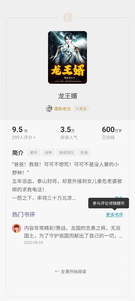 锦书小说