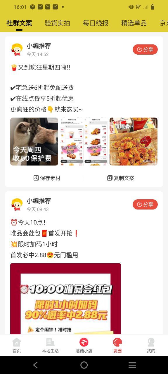 小白菇