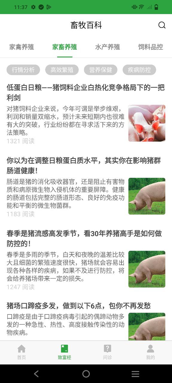 会养殖