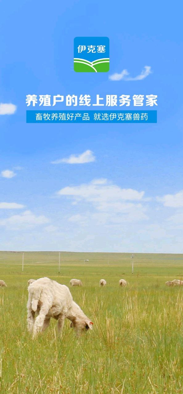 伊克塞