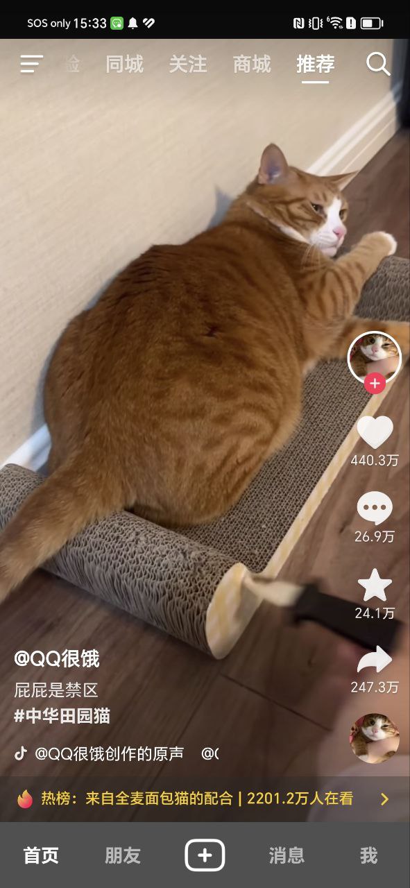 抖音最新版本