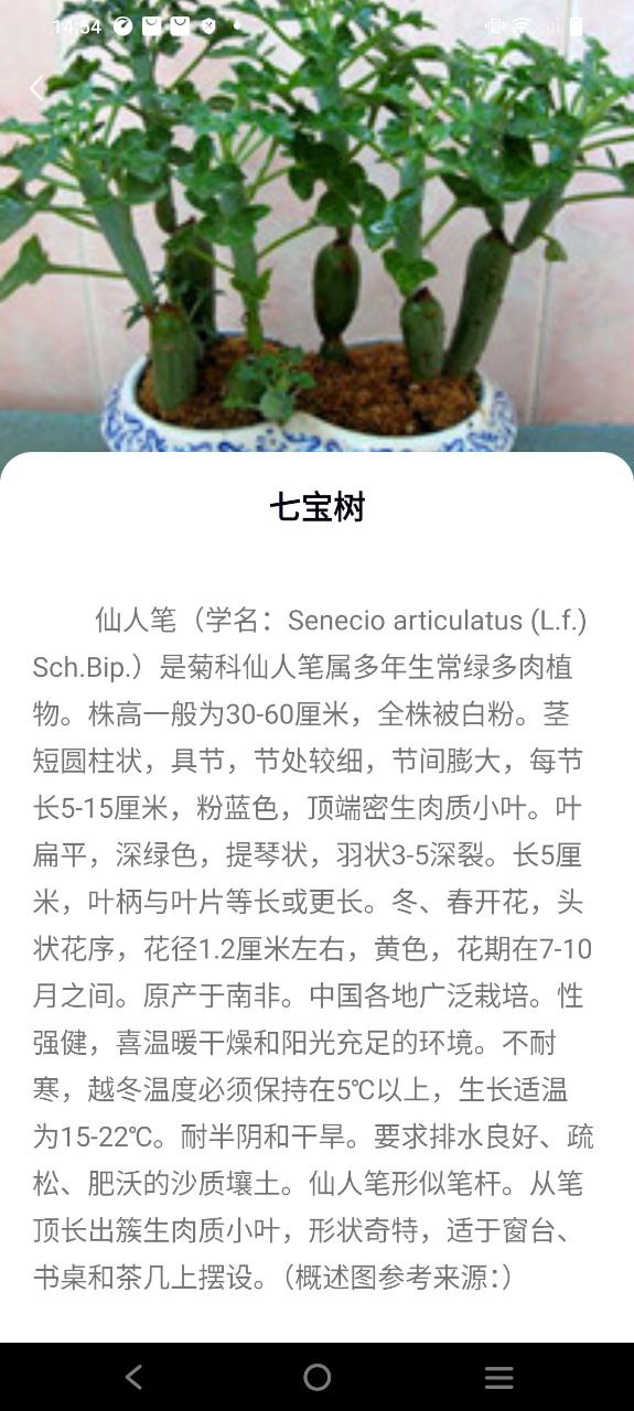 花多多