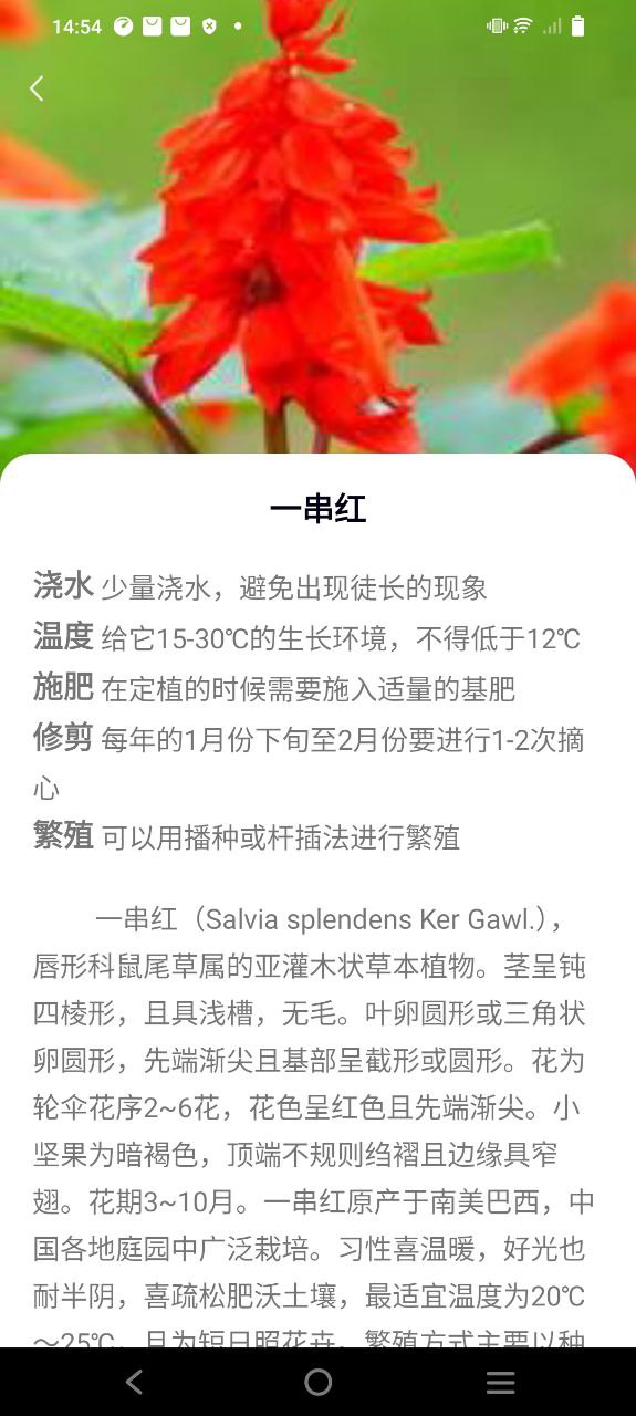 花多多