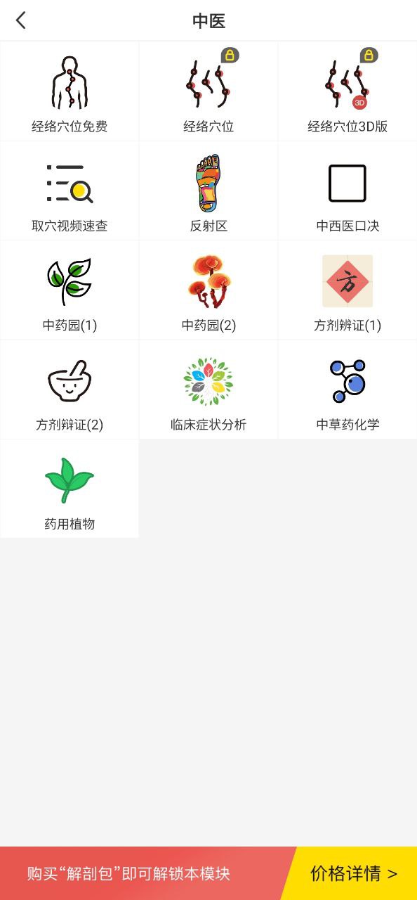 3dbody解剖