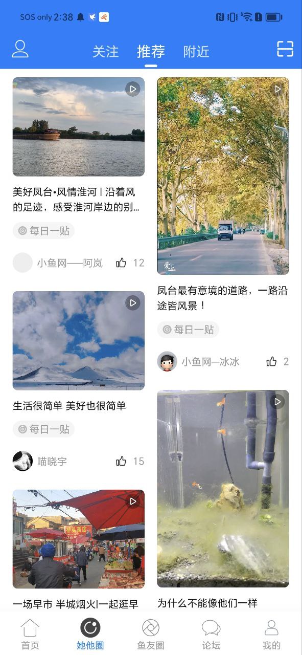 凤台小鱼网