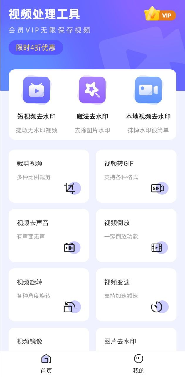 视频去水印极速王