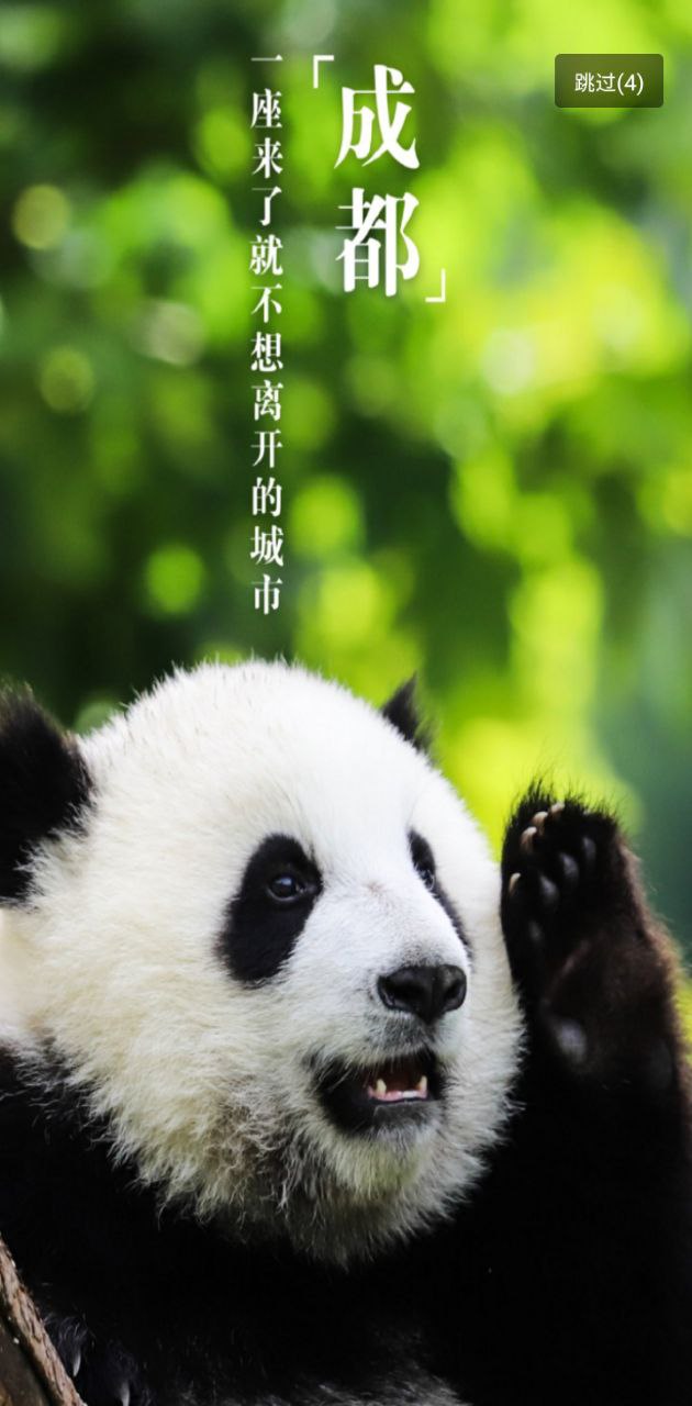 掌游成都