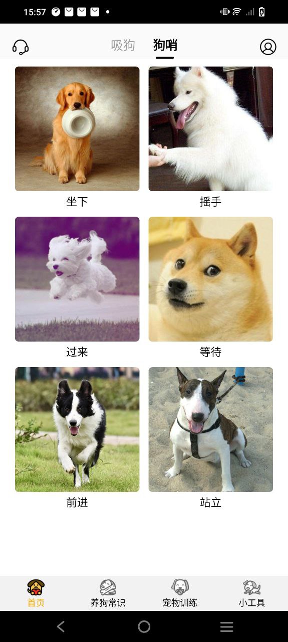 狗语翻译