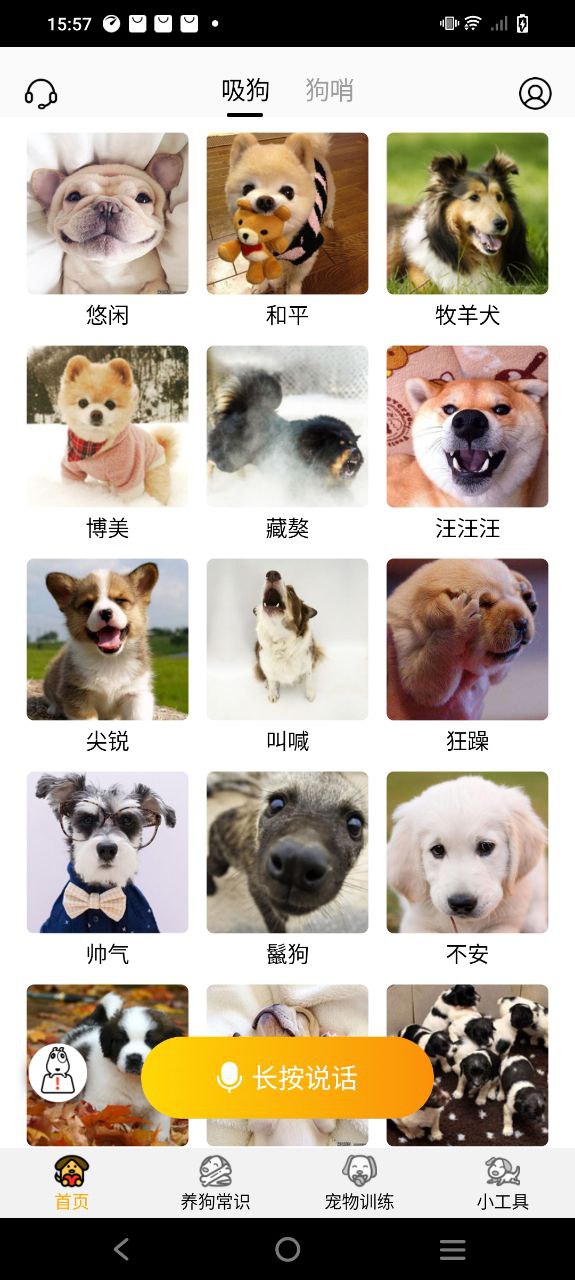 狗语翻译