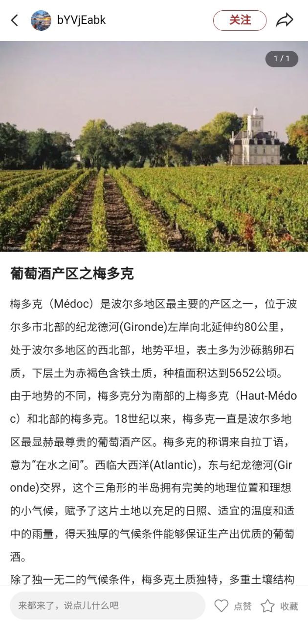 美酒点评