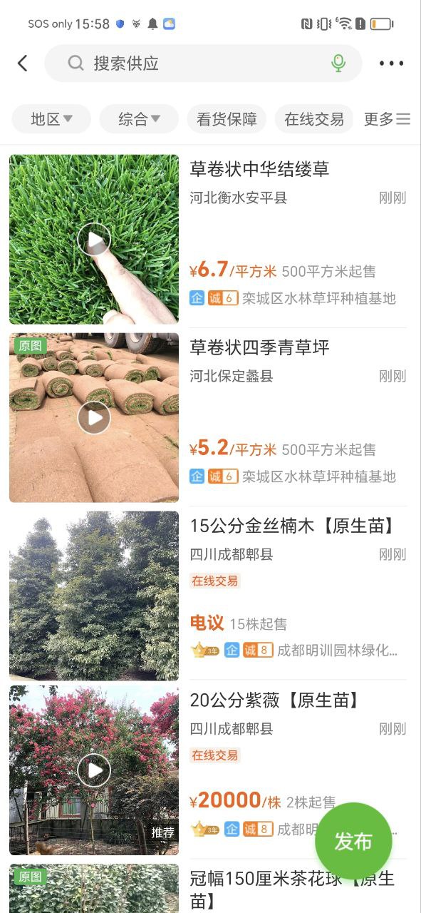 苗木通