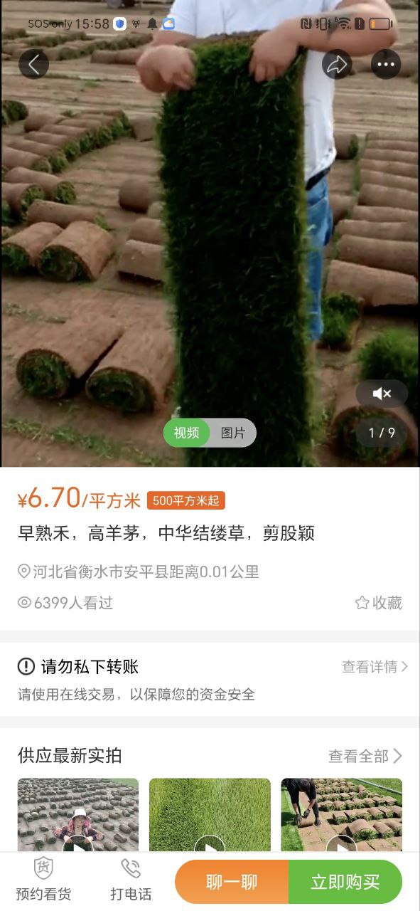 苗木通