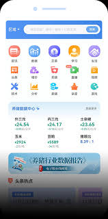 养猪宝