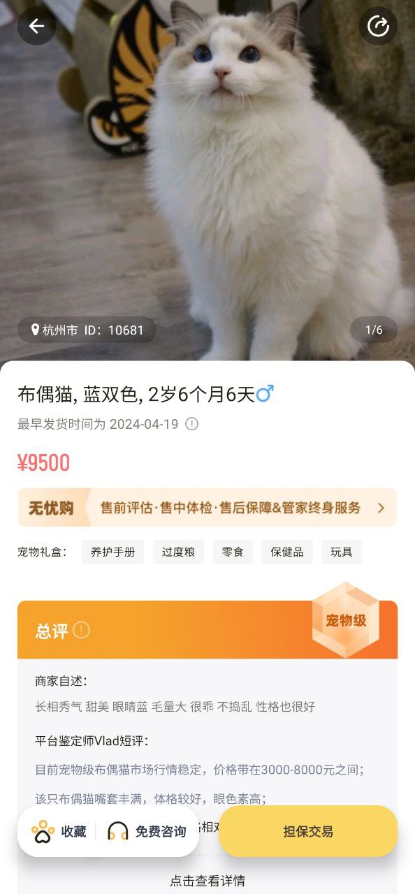 宠酱