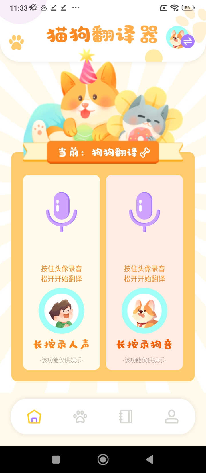 猫咪请就位