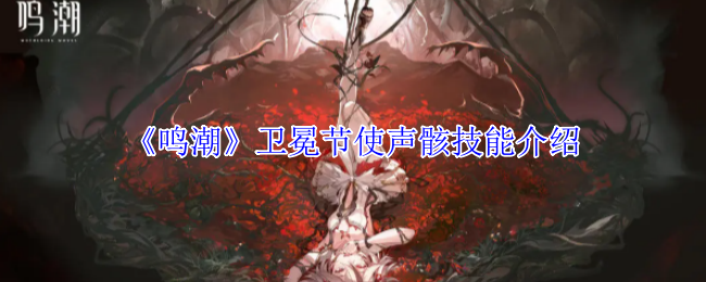 《鸣潮》卫冕节声骸技能详解
