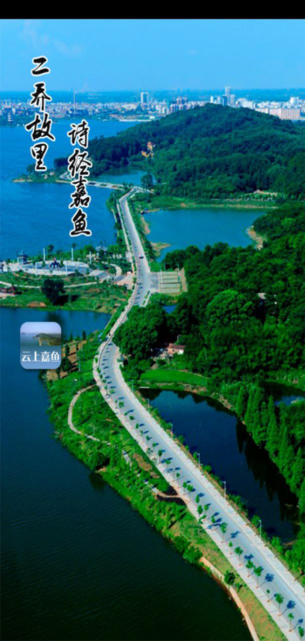云上嘉鱼