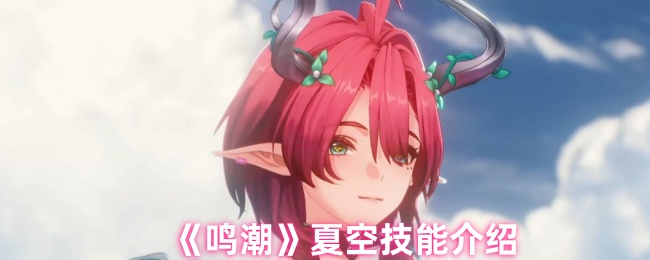 《鸣潮》夏空技能详解