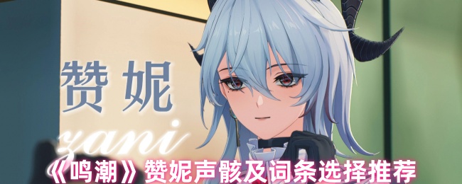 《鸣潮》赞妮声骸攻略及词条选择建议