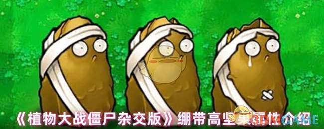 《植物大战僵尸杂交版》绷带高坚果的能力解析与使用技巧