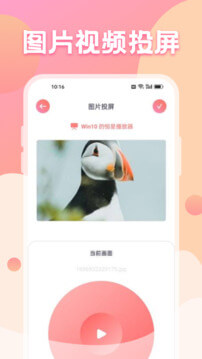 黑猫影视
