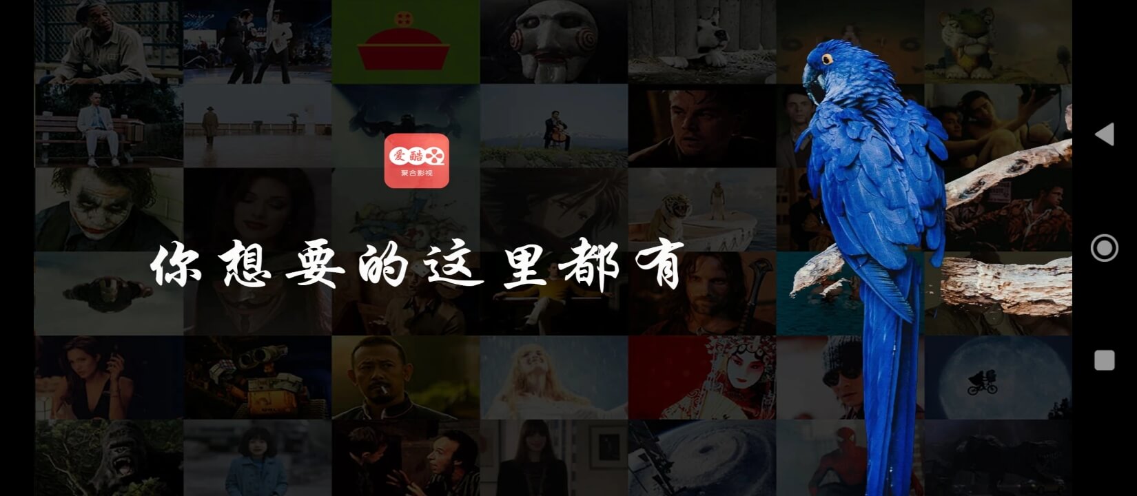 爱酷tv