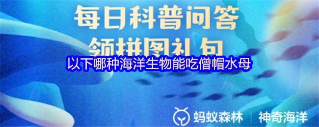《支付宝》能吃僧帽水母的海洋生物有哪些？